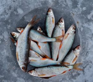 Washing fish stores uniforms